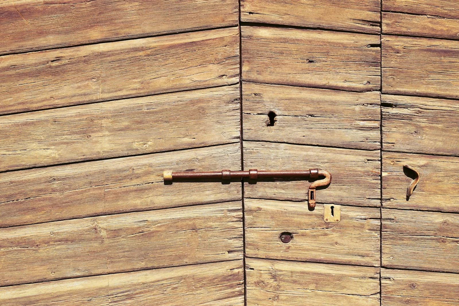 Dark brown wooden interior door
